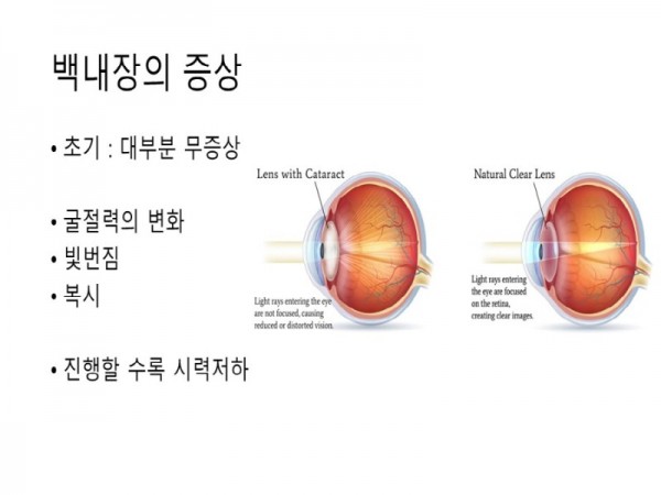 [크기변환]2-4.jpg